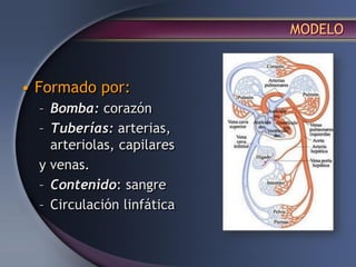 MODELO
• Formado por:
– Bomba: corazón
– Tuberías: arterias,
arteriolas, capilares
y venas.
– Contenido: sangre
– Circulación linfática
 