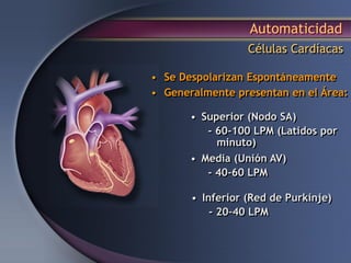 Automaticidad
Células Cardíacas
• Superior (Nodo SA)
- 60-100 LPM (Latidos por
minuto)
• Media (Unión AV)
- 40-60 LPM
• Inferior (Red de Purkinje)
- 20–40 LPM
• Se Despolarizan Espontáneamente
• Generalmente presentan en el Área:
 