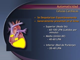 Automaticidad
Células Cardíacas
• Superior (Nodo SA)
- 60-100 LPM (Latidos por
minuto)
• Media (Unión AV)
- 40-60 LPM
• Inferior (Red de Purkinje)
- 20–40 LPM
• Se Despolarizan Espontáneamente
• Generalmente presentan en el Área:
 