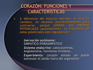 CORAZÓN: FUNCIONES Y
CARACTERÍSTICAS
• A diferencia del músculo estriado, el músculo
cardíaco, no necesita neurotransmisores para
contraerse, porque GENERA SUS PROPIOS
POTENCIALES (automatismo). La frecuencia de
estos potenciales está regulada por:
– Inervación autónoma:
SIMPATICO/PARASIMPATICO
– Sistema endocrino: catecolominas,
Angiotensina, hormonas tiroideas…
– Experimento: corazón aislado (se puede
estimular el latido fuera del organismo)
 
