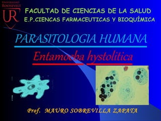 Prof. MAURO SOBREVILLA ZAPATA
FACULTAD DE CIENCIAS DE LA SALUD
E.P.CIENCAS FARMACEUTICAS Y BIOQUÍMICA
Entamoeba hystolitica
PARASITOLOGIA HUMANA
 
