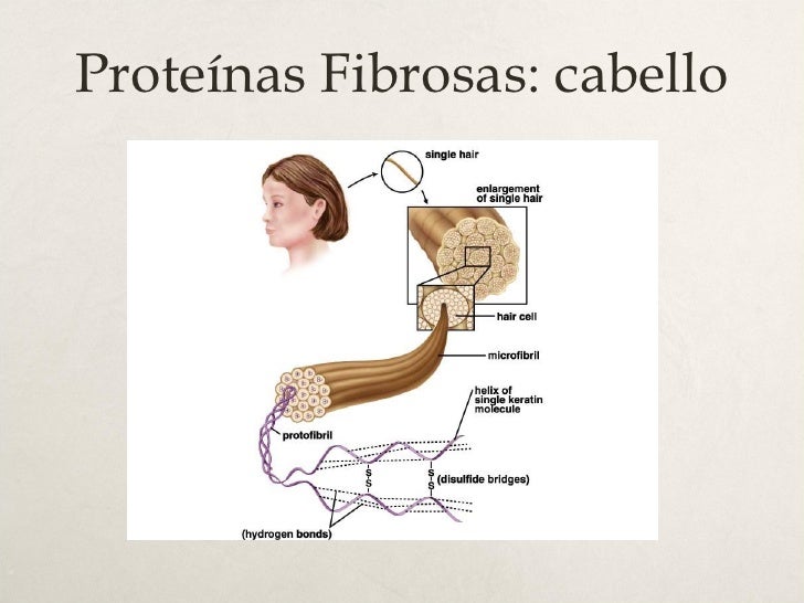 Los medios baratos para el crecimiento rápido de los cabello en la farmacia