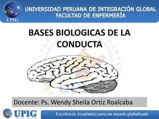 Excelencia Académica para un mundo globalizado
BASES BIOLOGICAS DE LA
CONDUCTA
Docente: Ps. Wendy Sheila Ortiz Roalcaba
 