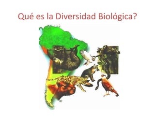 Qué es la Diversidad Biológica? 