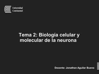 Tema 2: Biología celular y
molecular de la neurona
Docente: Jonathan Aguilar Bueno
 