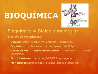 BIOQUÍMICA
Bioquímica = Biología molecular
Abarca el estudio de:
• Células: seres unicelulares, neurona, hepatocitos.
• Orgánulos: núcleo, mitocondrias, aparato de Golgi.
• Asociaciones supramoleculares: membrana, ribosas,
cromatina.
• Biopolímeros: proteínas, DNA,DRA, glucógeno.
• Monómeros: aminoácidos, glucosa, ácidos grasos, etc.
 
