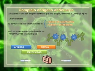 Evaluación
Anticuerpo se une con antígeno contra el que está dirigido, formando el Complejo Ag-Ac.
Unión reversible.
La permanencia de la unión depende de
Anticuerpos establecen múltiples enlaces
NO COVALENTES con el antígeno.
AFINIDAD FUERZA
ESPECIFICIDAD
 