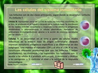 Fuente: Regueiro y otros (2009)
Los linfocitos son de dos clases principales, según donde se desarrollan: Linfocito
B y linfocito T.
Células B: representan cerca del 5-15% de todos los linfocitos circulantes. En
el feto, se producen en el hígado y después en la médula ósea. Se distribuyen
en los tejidos linfoides secundarios y responden a los estímulos antigénicos
dividiéndose y diferenciándose a células plasmáticas, liberadoras de
anticuerpos (inmunoglobulinas), gracias a la acción de citocinas secretadas
por las células T.
Células T: se desarrollan en el timo a partir de células madre
linfocíticas de la médula ósea de origen embrionario. Después
expresan receptores antigénicos específicos y se diferencian en dos
subgrupos. Uno expresa el marcador CD4 y el otro el CD8. A su vez,
constituyen diferentes poblaciones que son: los linfocitos T helper
(auxiliadores), los citotóxicos y los supresores. Sus funciones son: 1)
ayudar a las células B a producir anticuerpos; 2) reconocer y destruir
a los patógenos; y 3) controlar el nivel y la calidad de la respuesta
inmunológica.
 