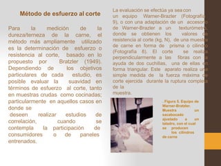 Método de esfuerzo al corte
Para la medición de la
dureza/terneza de la carne, el
método más ampliamente utilizado
es la determinación de esfuerzo o
resistencia al corte, basado en lo
propuesto por Bratzler (1949).
Dependiendo de los objetivos
particulares de cada estudio, es
posible evaluar la suavidad en
términos de esfuerzo al corte, tanto
en muestras crudas como cocinadas;
particularmente en aquellos casos en
donde se
correlación, cuando
deseen realizar estudios de
se
participación de
o de paneles
contempla la
consumidores
entrenados.
La evaluación se efectúa ya seacon
un equipo Warner-Brazler (Fotografía
muestra.
9), o con una adaptación de un accesorio
de Warner-Brazler a un texturómetro,
donde se obtienen los valores de
resistencia al corte (kg, N), de una muestra
de carne en forma de prisma o cilindro
(Fotografía 8). El corte se realiza
perpendicularmente a las fibras con la
ayuda de dos cuchillas, una de ellas en
forma triangular. Este aparato realiza una
simple medida de la fuerza máxima de
corte ejercida durante la ruptura completa
de la
. Figura 5. Equipo de
Warner-Bratzler.
Muestra un
sacabocado
ajustado a un
taladro, con el cual
se producen
los cilindros
de carne
 