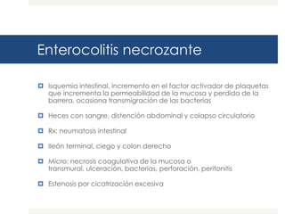 Enterocolitis necrozante
 Isquemia intestinal, incremento en el factor activador de plaquetas
que incrementa la permeabilidad de la mucosa y perdida de la
barrera, ocasiona transmigración de las bacterias
 Heces con sangre, distención abdominal y colapso circulatorio
 Rx: neumatosis intestinal

 Ileón terminal, ciego y colon derecho
 Micro: necrosis coagulativa de la mucosa o
transmural, ulceración, bacterias, perforación, peritonitis
 Estenosis por cicatrización excesiva

 