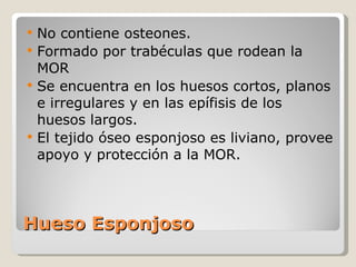 Hueso Esponjoso No contiene osteones. Formado por trabéculas que rodean la MOR Se encuentra en los huesos cortos, planos e irregulares y en las epífisis de los huesos largos. El tejido óseo esponjoso es liviano, provee apoyo y protección a la MOR. 