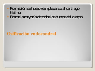 Osificación endocondral Formación de hueso reemplazando al cartílago hialino. Forma la mayoría de todos los huesos del cuerpo. 
