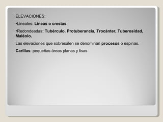 ELEVACIONES: Lineales:  Líneas o crestas Redondeadas : Tubérculo, Protuberancia, Trocánter, Tuberosidad, Maléolo. Las elevaciones que sobresalen se denominan  procesos  o espinas. Carillas : pequeñas áreas planas y lisas 