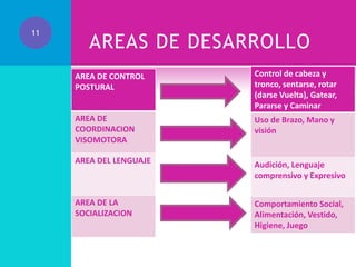11

AREAS DE DESARROLLO
AREA DE CONTROL
POSTURAL

Control de cabeza y
tronco, sentarse, rotar
(darse Vuelta), Gatear,
Pararse y Caminar

AREA DE
COORDINACION
VISOMOTORA

Uso de Brazo, Mano y
visión

AREA DEL LENGUAJE

Audición, Lenguaje
comprensivo y Expresivo

AREA DE LA
SOCIALIZACION

Comportamiento Social,
Alimentación, Vestido,
Higiene, Juego

 