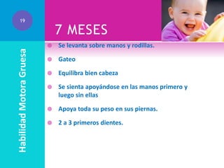 Habilidad Motora Gruesa

19

7 MESES


Se levanta sobre manos y rodillas.



Gateo



Equilibra bien cabeza



Se sienta apoyándose en las manos primero y
luego sin ellas



Apoya toda su peso en sus piernas.



2 a 3 primeros dientes.

 