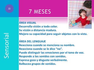 Sensorial

22

7 MESES
ÁREA VISUAL
Desarrolla visión a todo color.
Su visión a distancia madura.
Mejora su capacidad para seguir objetos con la vista.
ÁREA DEL LENGUAJE
Reacciona cuando se menciona su nombre.
Reacciona cuando se le dice “no”.
Puede distinguir las emociones por el tono de voz.
Responde a los sonidos con sonidos.
Expresa gozo y disgusto verbalmente.
Balbucea grupos de sonidos.

 