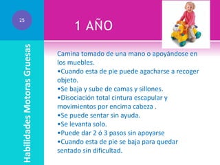 Habilidades Motoras Gruesas

25

1 AÑO
Camina tomado de una mano o apoyándose en
los muebles.
•Cuando esta de pie puede agacharse a recoger
objeto.
•Se baja y sube de camas y sillones.
•Disociación total cintura escapular y
movimientos por encima cabeza .
•Se puede sentar sin ayuda.
•Se levanta solo.
•Puede dar 2 ó 3 pasos sin apoyarse
•Cuando esta de pie se baja para quedar
sentado sin dificultad.

 