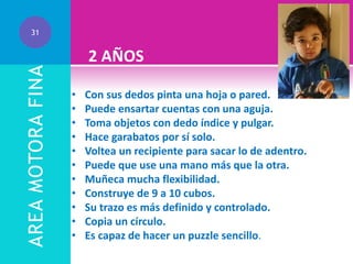 AREA MOTORA FINA

31

2 AÑOS
•
•
•
•
•
•
•
•
•
•
•

Con sus dedos pinta una hoja o pared.
Puede ensartar cuentas con una aguja.
Toma objetos con dedo índice y pulgar.
Hace garabatos por sí solo.
Voltea un recipiente para sacar lo de adentro.
Puede que use una mano más que la otra.
Muñeca mucha flexibilidad.
Construye de 9 a 10 cubos.
Su trazo es más definido y controlado.
Copia un círculo.
Es capaz de hacer un puzzle sencillo.

 