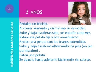 Habilidades Motoras Gruesas

35

3

AÑOS

Pedalea un triciclo.
Al correr aumenta y disminuye su velocidad.
Sube y baja escaleras solo, un escalón cada vez.
Patea una pelota fija y con movimiento.
Recibe una pelota con los brazos extendidos
Sube y baja escaleras alternando los pies (un pie
por escalón) .
Patea una pelota.
Se agacha hacia adelante fácilmente sin caerse.

 