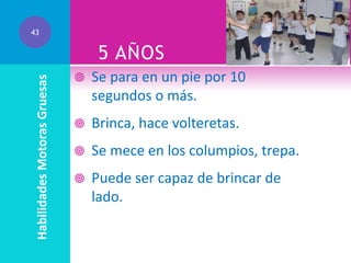 43

Habilidades Motoras Gruesas

5 AÑOS


Se para en un pie por 10
segundos o más.



Brinca, hace volteretas.



Se mece en los columpios, trepa.



Puede ser capaz de brincar de
lado.

 