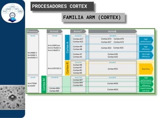 Comprehensive Overview of ARM Cortex-M3 and M4 Microcontrollers | PDF