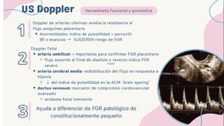 Comprehensive Overview of Intrauterine Growth and Development in ...