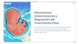 Comprehensive Overview of Intrauterine Growth and Development in ...