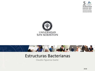 Estructuras Bacterianas
2018
Claudio Figueroa Gaete
 