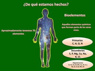 Primarios
C, H, O, N
Secundarios
S, P, Mg, Ca, Na,
K, Cl.
Oligoelementos
Cr, Co, Fe, Al, Mn, Cu, Zn, F, I,
Bo, Si, V, Se, Mo, Sn
 
