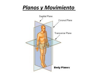 Planos	y	Movimiento	
 