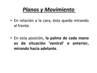 Planos	y	Movimiento	
•  En	relación	a	la	cara,	ésta	queda	mirando	
al	frente.		
	
•  En	esta	posición,	la	palma	de	cada	mano	
es	 de	 situación	 'ventral'	 o	 anterior,	
mirando	hacia	adelante.	
 