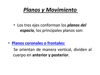 Planos	y	Movimiento	
•  Los	tres	ejes	conforman	los	planos	del	
espacio,	los	principales	planos	son:	
	
•  Planos	coronales	o	frontales:		
	Se	orientan	de	manera	vertical,	dividen	al	
	cuerpo	en	anterior	y	posterior.		
 