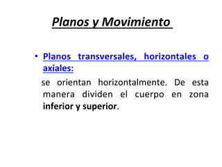 Planos	y	Movimiento	
•  Planos	 transversales,	 horizontales	 o	
axiales:	
	 se	 orientan	 horizontalmente.	 De	 esta	
manera	 dividen	 el	 cuerpo	 en	 zona	
inferior	y	superior.	
 