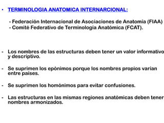 •  TERMINOLOGIA ANATOMICA INTERNARCIONAL:
- Federación Internacional de Asociaciones de Anatomía (FIAA)
- Comité Federativo de Terminología Anatómica (FCAT).
-  Los nombres de las estructuras deben tener un valor informativo
y descriptivo.
-  Se suprimen los epónimos porque los nombres propios varían
entre países.
-  Se suprimen los homónimos para evitar confusiones.
-  Las estructuras en las mismas regiones anatómicas deben tener
nombres armonizados.
	
 