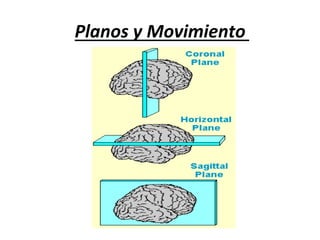 Planos	y	Movimiento	
 