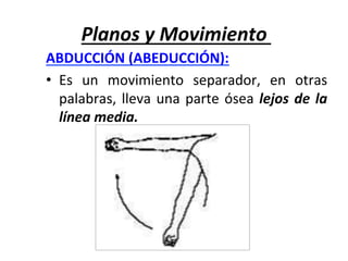 Planos	y	Movimiento	
ABDUCCIÓN	(ABEDUCCIÓN):		
•  Es	 un	 movimiento	 separador,	 en	 otras	
palabras,	lleva	una	parte	ósea	lejos	de	la	
línea	media.	
 