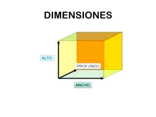 DIMENSIONES
 