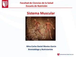 Facultad de Ciencias de la Salud
Escuela de Nutrición
Sistema Muscular
Mtro.Carlos Daniel Montes García
Bromatólogo y Nutricionista
 