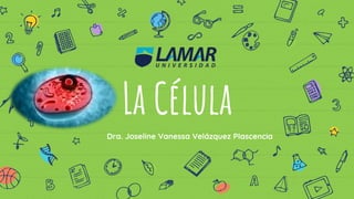 La Célula
Dra. Joseline Vanessa Velázquez Plascencia
 