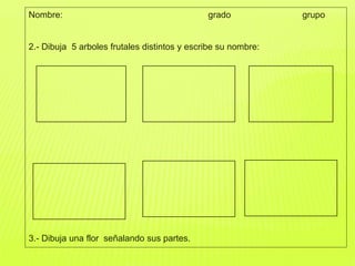 Nombre: grado grupo
2.- Dibuja 5 arboles frutales distintos y escribe su nombre:
3.- Dibuja una flor señalando sus partes.
 