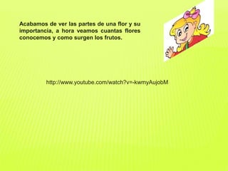Acabamos de ver las partes de una flor y su
importancia, a hora veamos cuantas flores
conocemos y como surgen los frutos.
http://www.youtube.com/watch?v=-kwmyAujobM
 