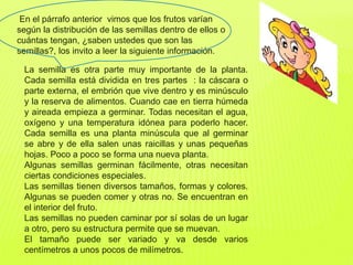 En el párrafo anterior vimos que los frutos varían
según la distribución de las semillas dentro de ellos o
cuántas tengan, ¿saben ustedes que son las
semillas?, los invito a leer la siguiente información.
La semilla es otra parte muy importante de la planta.
Cada semilla está dividida en tres partes : la cáscara o
parte externa, el embrión que vive dentro y es minúsculo
y la reserva de alimentos. Cuando cae en tierra húmeda
y aireada empieza a germinar. Todas necesitan el agua,
oxígeno y una temperatura idónea para poderlo hacer.
Cada semilla es una planta minúscula que al germinar
se abre y de ella salen unas raicillas y unas pequeñas
hojas. Poco a poco se forma una nueva planta.
Algunas semillas germinan fácilmente, otras necesitan
ciertas condiciones especiales.
Las semillas tienen diversos tamaños, formas y colores.
Algunas se pueden comer y otras no. Se encuentran en
el interior del fruto.
Las semillas no pueden caminar por sí solas de un lugar
a otro, pero su estructura permite que se muevan.
El tamaño puede ser variado y va desde varios
centímetros a unos pocos de milímetros.
 