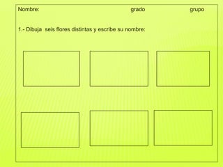 Nombre: grado grupo
1.- Dibuja seis flores distintas y escribe su nombre:
 