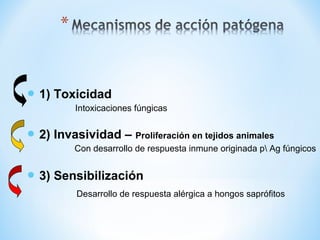  1) Toxicidad
Intoxicaciones fúngicas
 2) Invasividad – Proliferación en tejidos animales
Con desarrollo de respuesta inmune originada p Ag fúngicos
 3) Sensibilización
Desarrollo de respuesta alérgica a hongos saprófitos
 