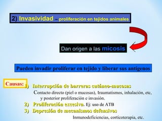 2) Invasividad – proliferación en tejidos animales
Dan origen a las micosis
Pueden invadir proliferar en tejido y liberar sus antígenos
Causas:1)1) Interrupción de barreras cutáneo-mucosasInterrupción de barreras cutáneo-mucosas
Contacto directo (piel o mucosas), traumatismos, inhalación, etc,
y posterior proliferación e invasión..
2)2) Proliferación excesivaProliferación excesiva.. Ej: uso de ATBEj: uso de ATB
3)3) Depresión de mecanismos defensivosDepresión de mecanismos defensivos
Inmunodeficiencias, corticoterapia, etc..
 