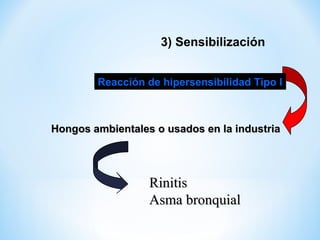 3) Sensibilización
Hongos ambientales o usados en la industriaHongos ambientales o usados en la industria
Reacción de hipersensibilidad Tipo I
RinitisRinitis
Asma bronquialAsma bronquial
 