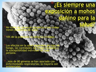 *No todas las personas expuestas a los mohos
tienen problemas de salud.
*10% de la población es alérgica a hongos.
*Los efectos en la salud dependen del tipo de
hongo, las cantidades del hongo inhaladas y
la susceptibilidad individual de cada
persona.
*…más de 80 géneros se han asociado con
enfermedades respiratorias; la mayoría son
ambientales.
 