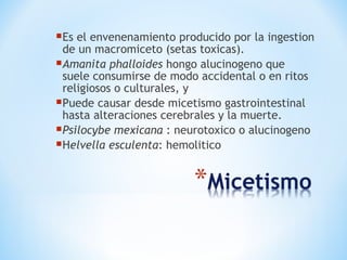 Es el envenenamiento producido por la ingestion
de un macromiceto (setas toxicas).
Amanita phalloides hongo alucinogeno que
suele consumirse de modo accidental o en ritos
religiosos o culturales, y
Puede causar desde micetismo gastrointestinal
hasta alteraciones cerebrales y la muerte.
Psilocybe mexicana : neurotoxico o alucinogeno
Helvella esculenta: hemolitico
 