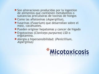 Son alteraciones producidas por la ingestion
de alimentos que contienen metabolitos o
sustancias preculsoras de toxinas de hongos
Como las aflatoxinas (Aspergillus),
fusarinas (Fusarium) que desarrollan sobre el
maiz, cacahuates.
Pueden originar hepatomas y cancer de higado
Ergotoxinas (Claviceps purpurea) LSD o
ergotamina.
Alergia e hipersensibilidad: (Penicillium,
Aspergillus)
 