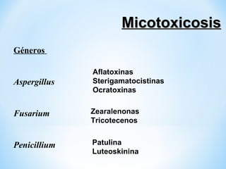 MicotoxicosisMicotoxicosis
Aflatoxinas
Sterigamatocistinas
Ocratoxinas
Géneros
Aspergillus
Fusarium
Penicillium
Zearalenonas
Tricotecenos
Patulina
Luteoskinina
 